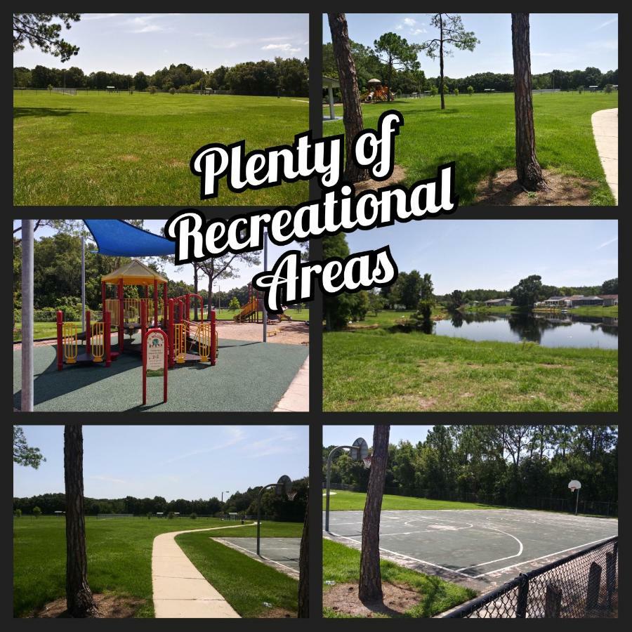 Tampa Citrus Park Apartment Luaran gambar