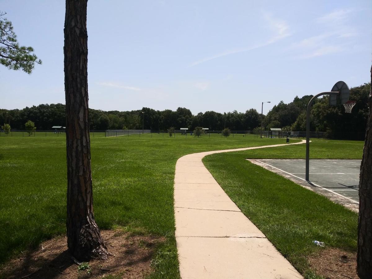 Tampa Citrus Park Apartment Luaran gambar