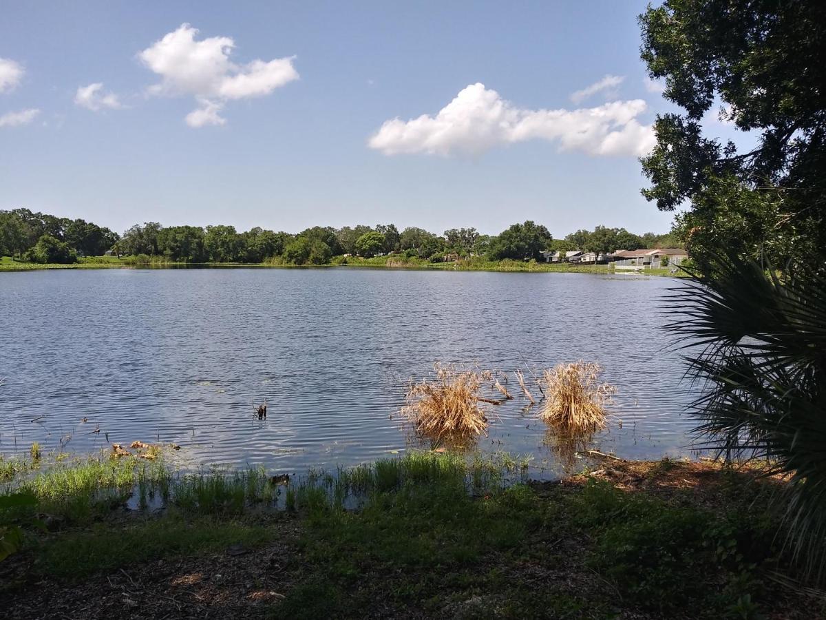 Tampa Citrus Park Apartment Luaran gambar
